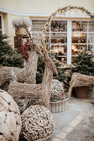 Tannenbaum in der Alpenrose