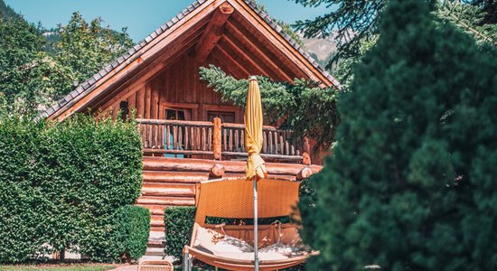 Garten mit kleiner Holzhütte